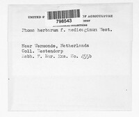 Phoma herbarum image